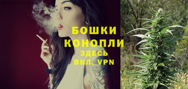 ПСИЛОЦИБИНОВЫЕ ГРИБЫ Трёхгорный
