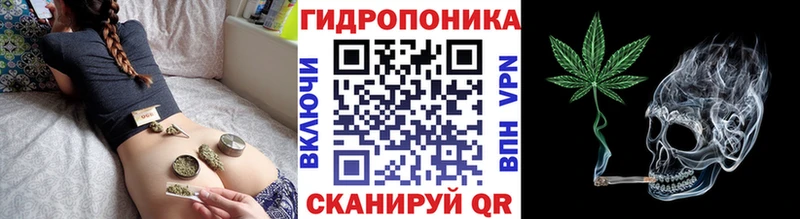Бошки Шишки планчик  Стародуб 